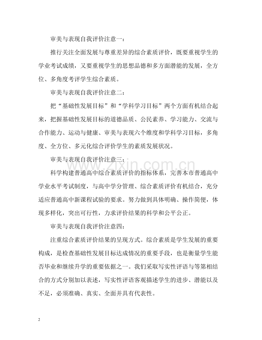 审美与表现自我评价及注意事项.docx_第2页