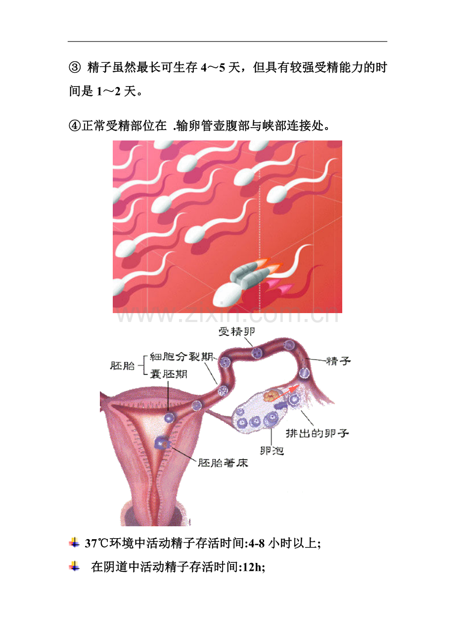生命的形成的秘密.doc_第2页