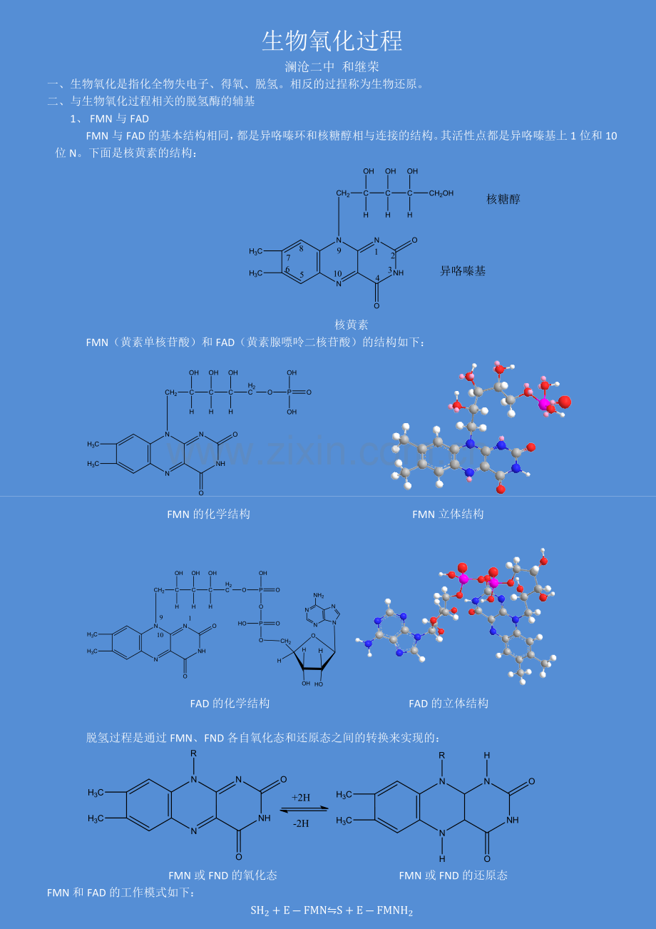 生物氧化过程.docx_第1页