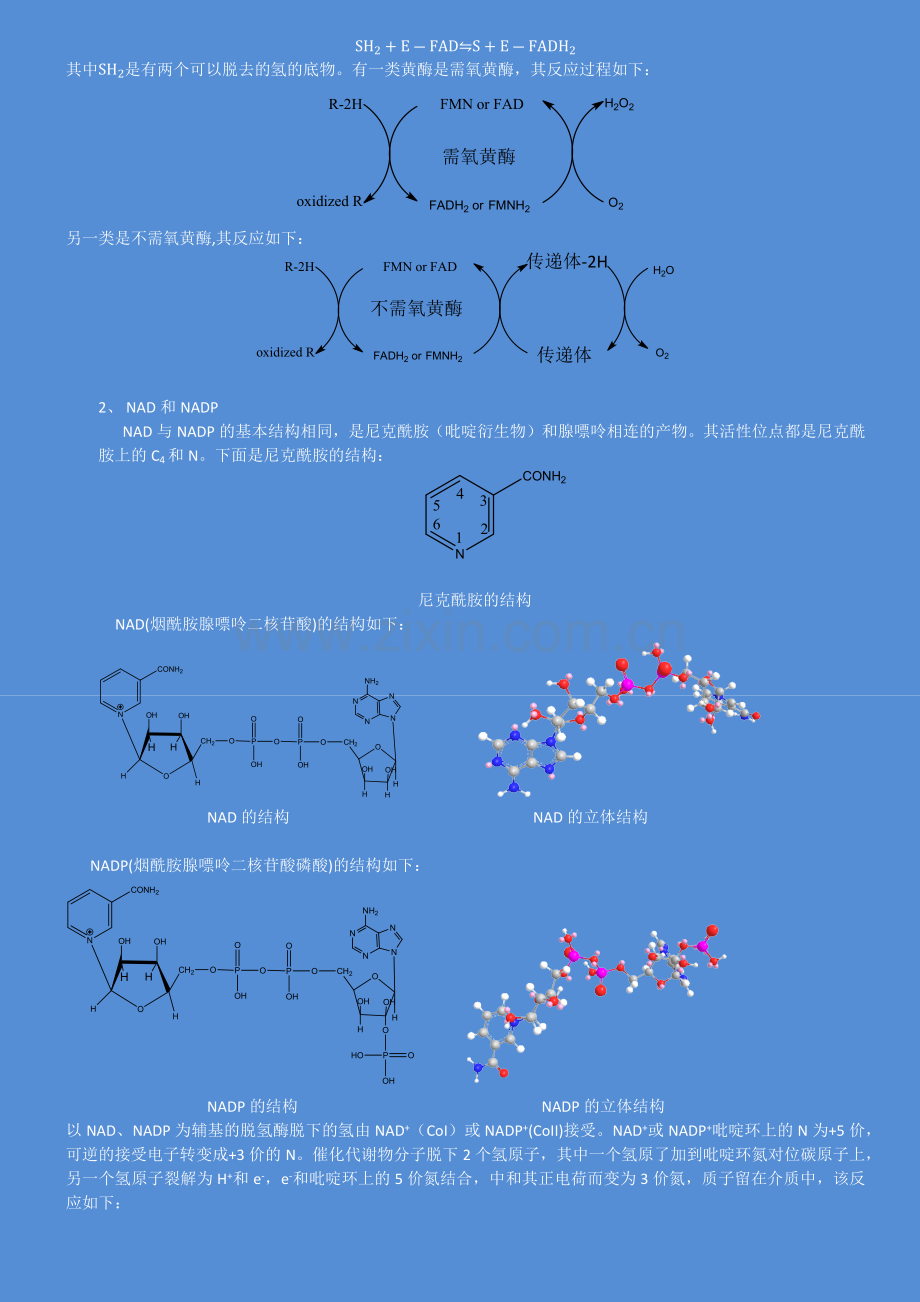 生物氧化过程.docx_第2页