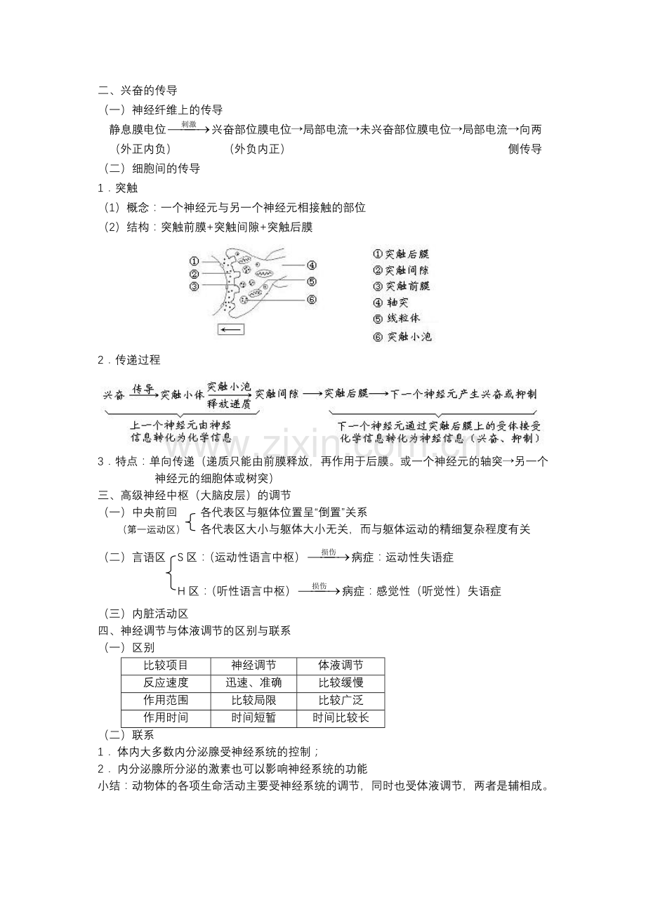 高中生物必修一人和高等动物生命活动的调节之神经调节.doc_第2页