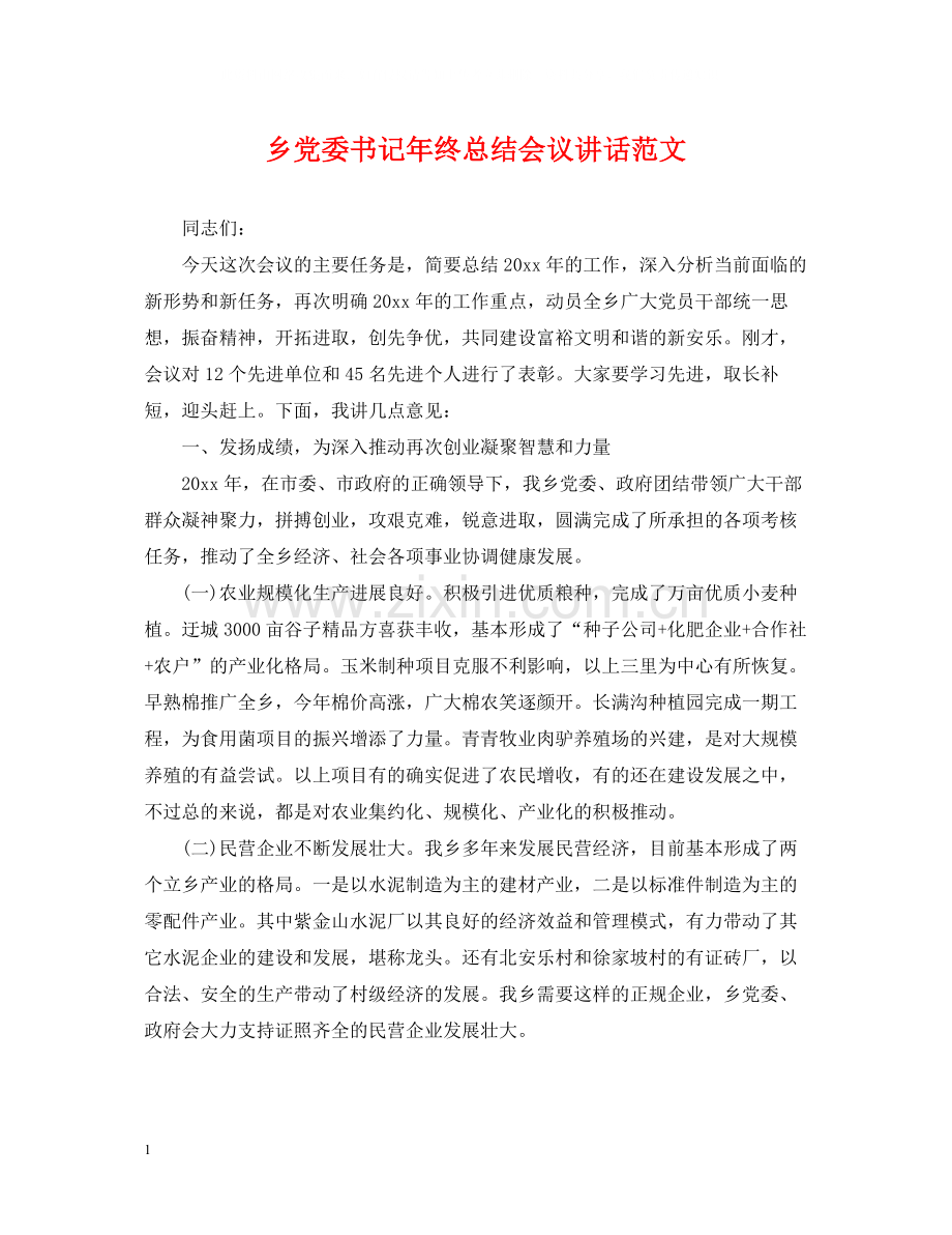 乡党委书记年终总结会议讲话范文.docx_第1页