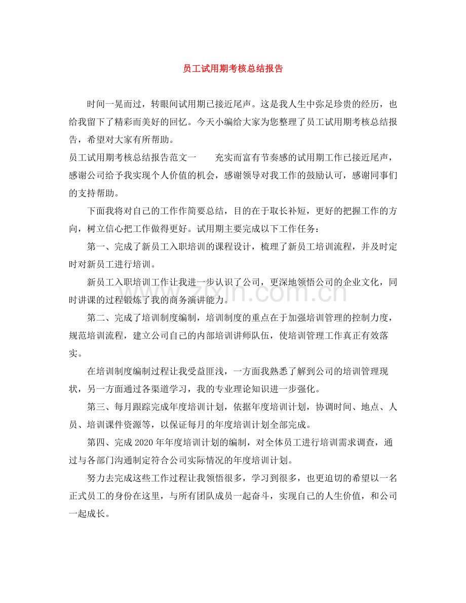 员工试用期考核总结报告.docx_第1页