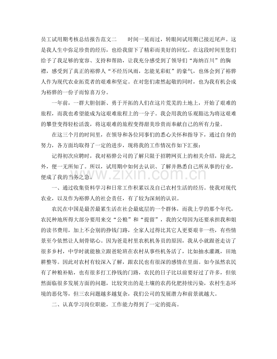员工试用期考核总结报告.docx_第2页