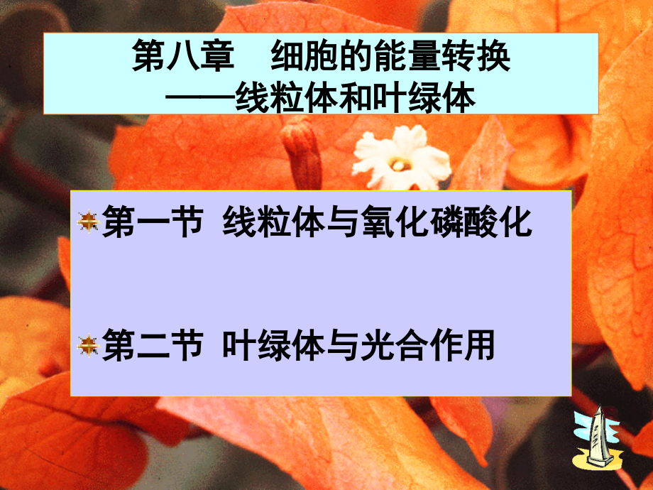 细胞分子生物学_8_.ppt_第1页