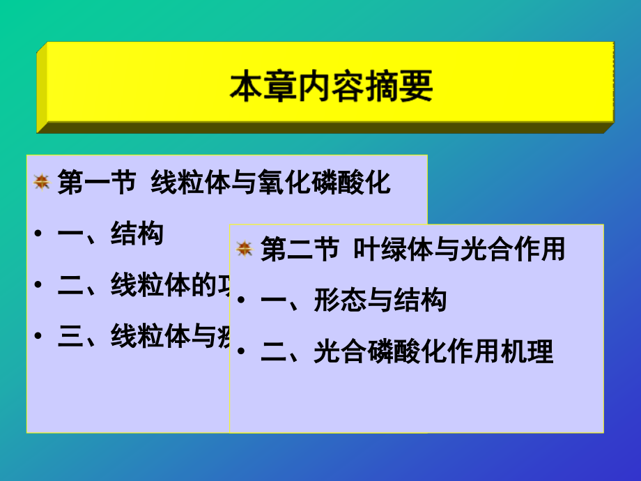 细胞分子生物学_8_.ppt_第2页