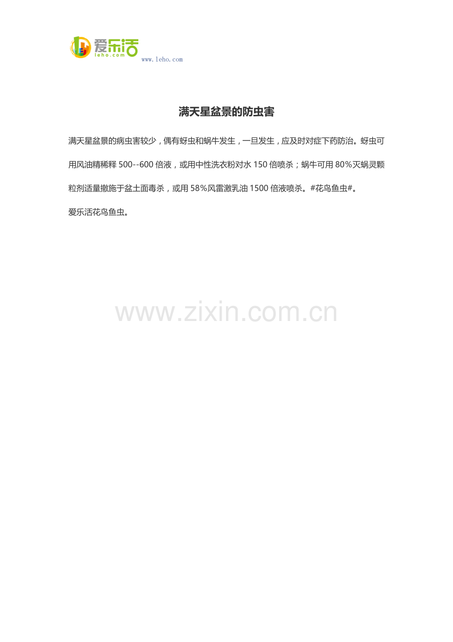 满天星盆景的防虫害.docx_第1页