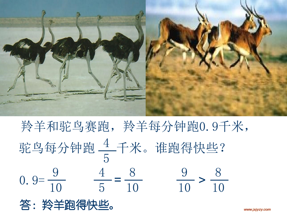 分数化成小数教学课件.ppt_第2页