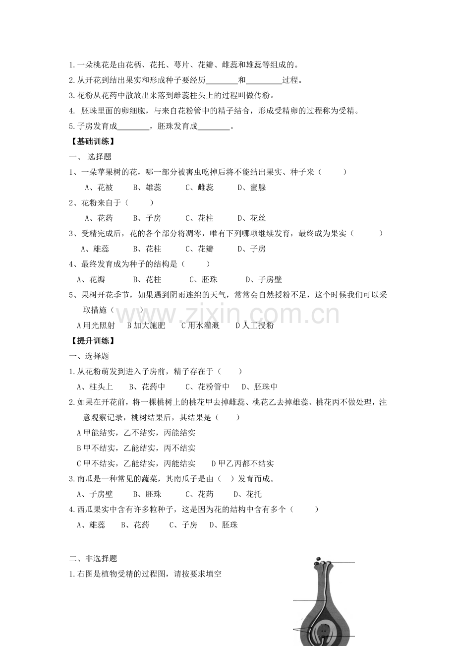 广东省东莞市低涌中学七年级生物上册 第三单元 第二章 第三节 开花和结果学案（无答案）（新版）新人教版.doc_第2页