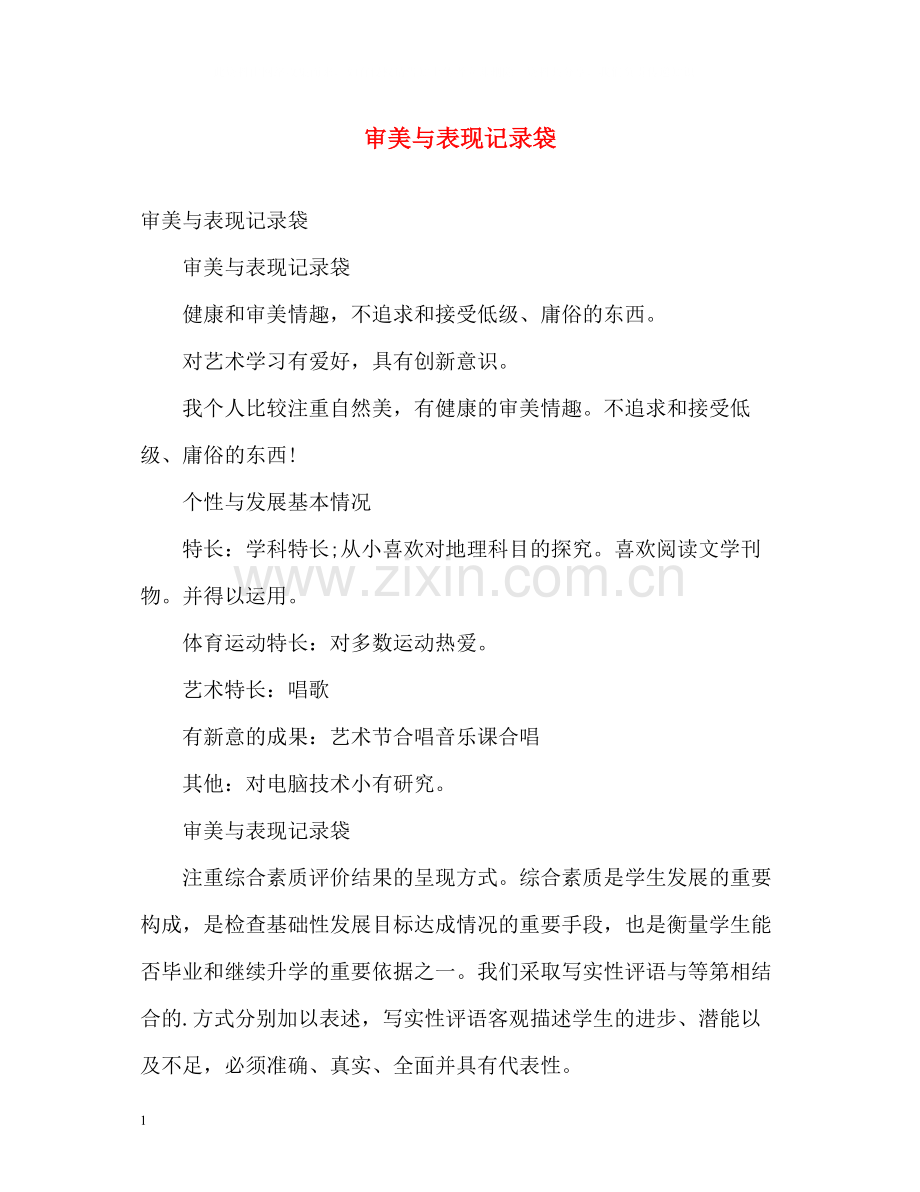 审美与表现记录袋.docx_第1页