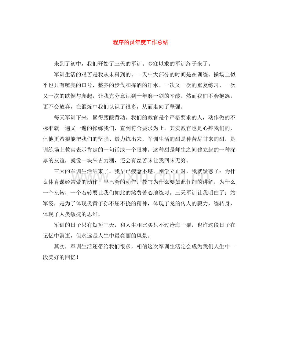 程序的员年度工作总结.docx_第1页