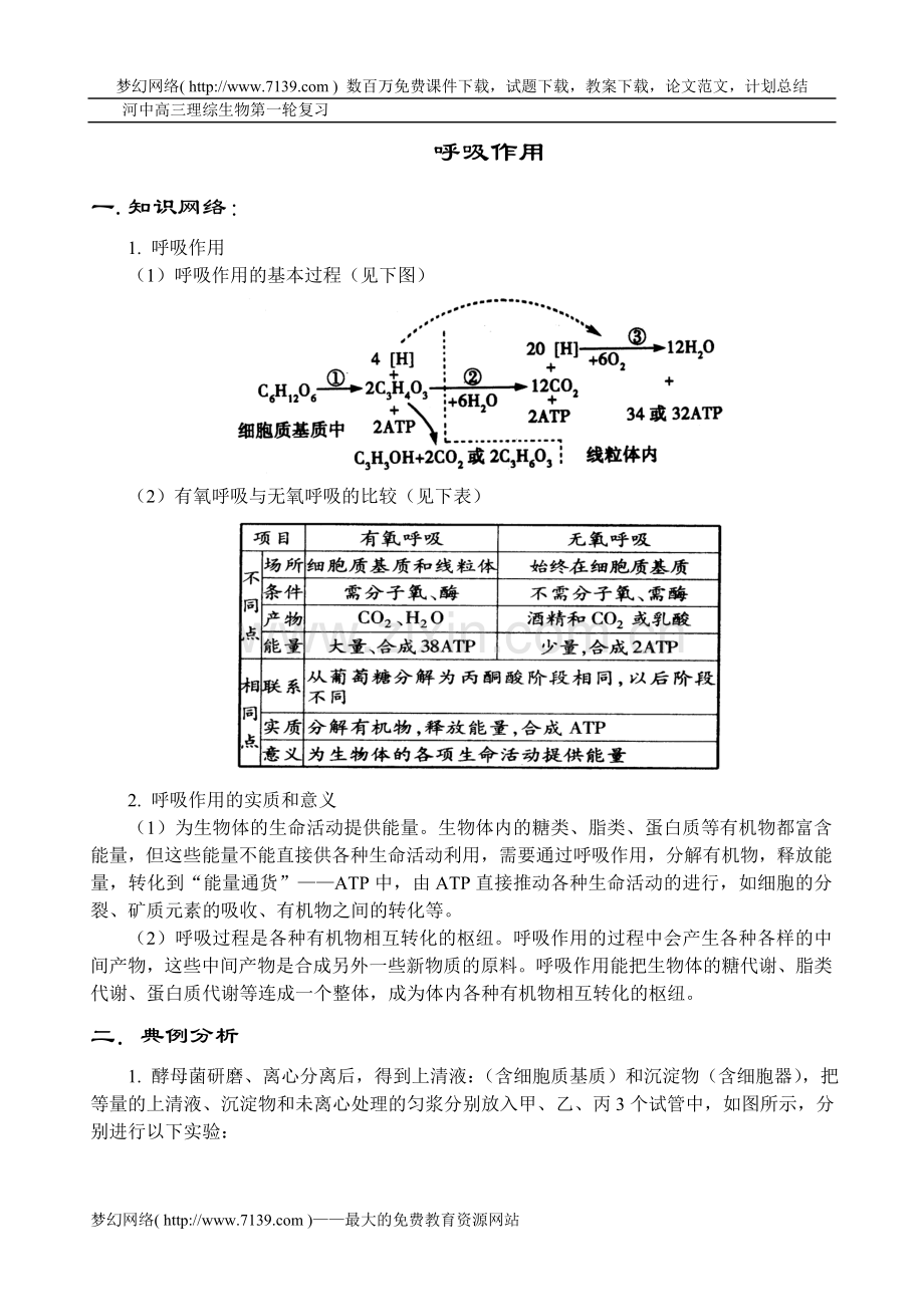 高三生物呼吸作用测试题.doc_第1页