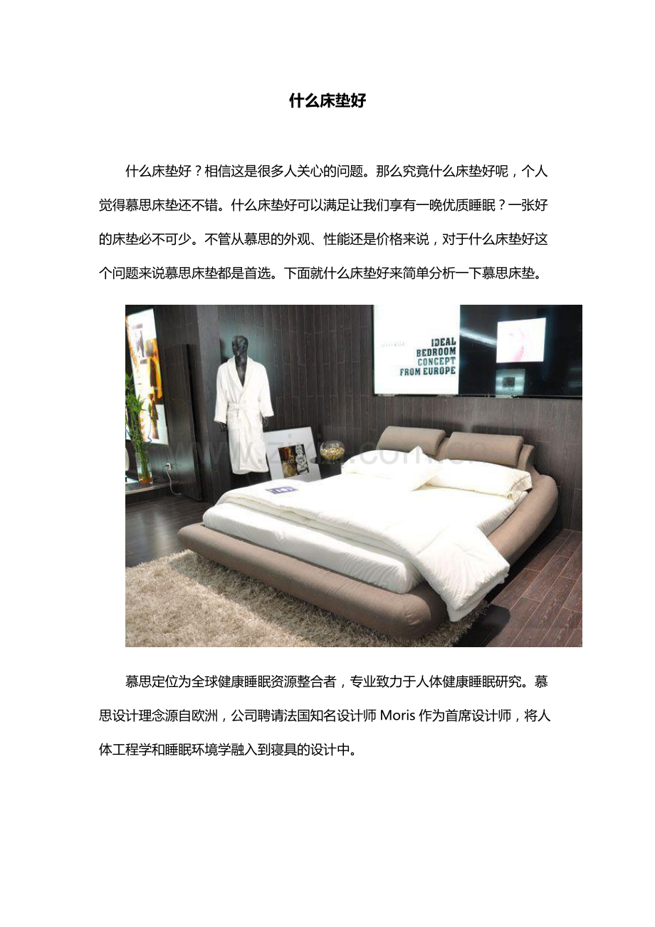 什么床垫好.doc_第1页