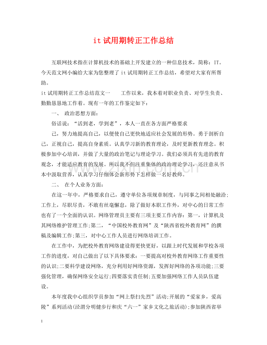 it试用期转正工作总结.docx_第1页