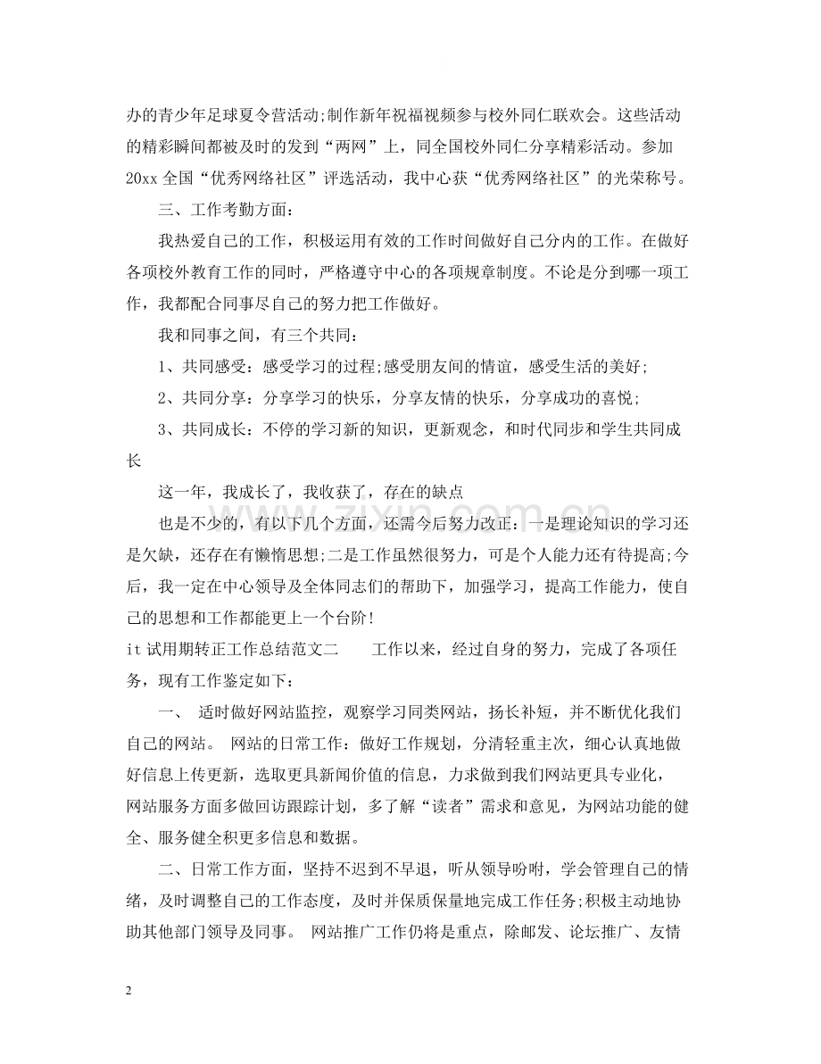 it试用期转正工作总结.docx_第2页