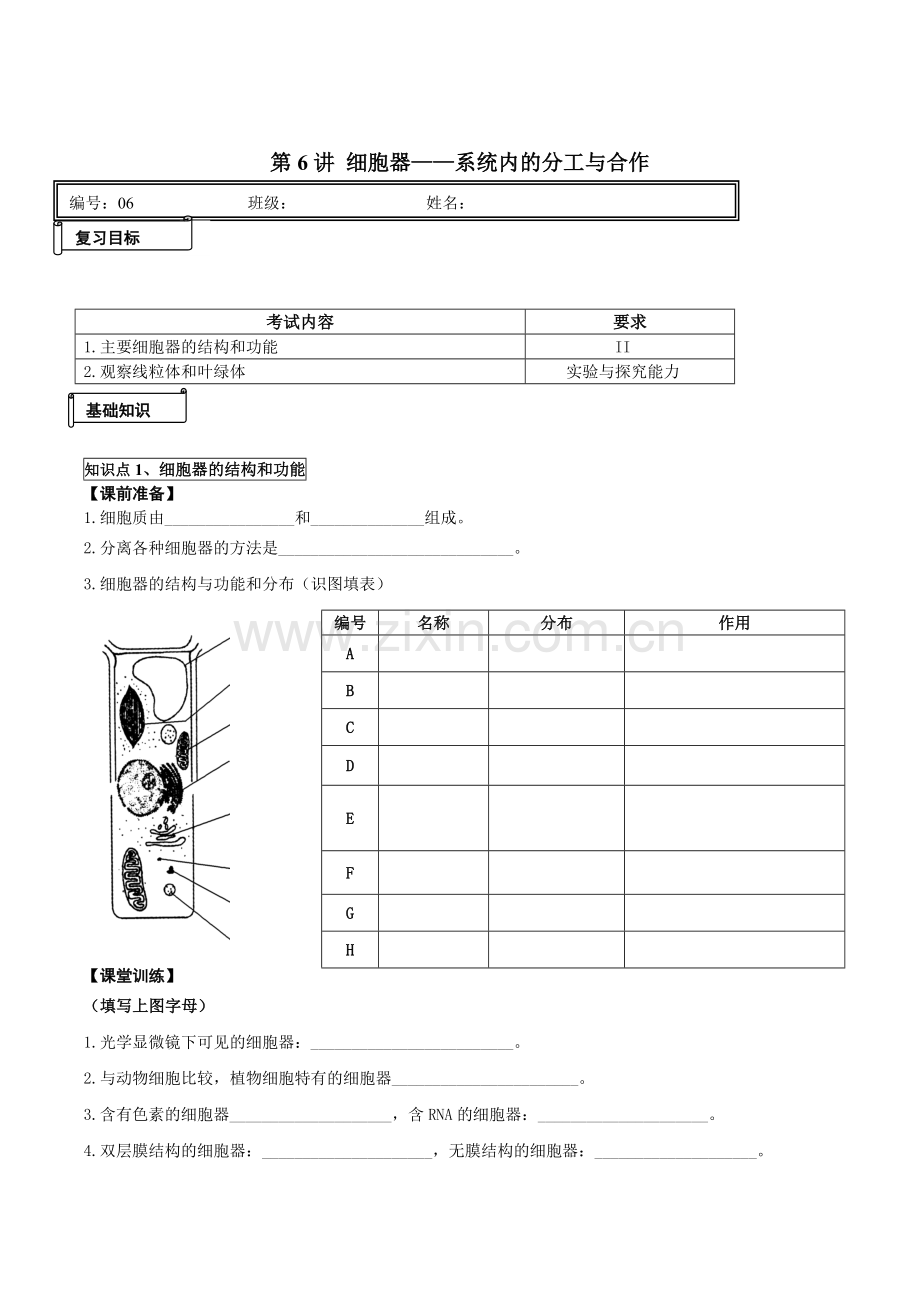 第6讲细胞器.doc_第1页