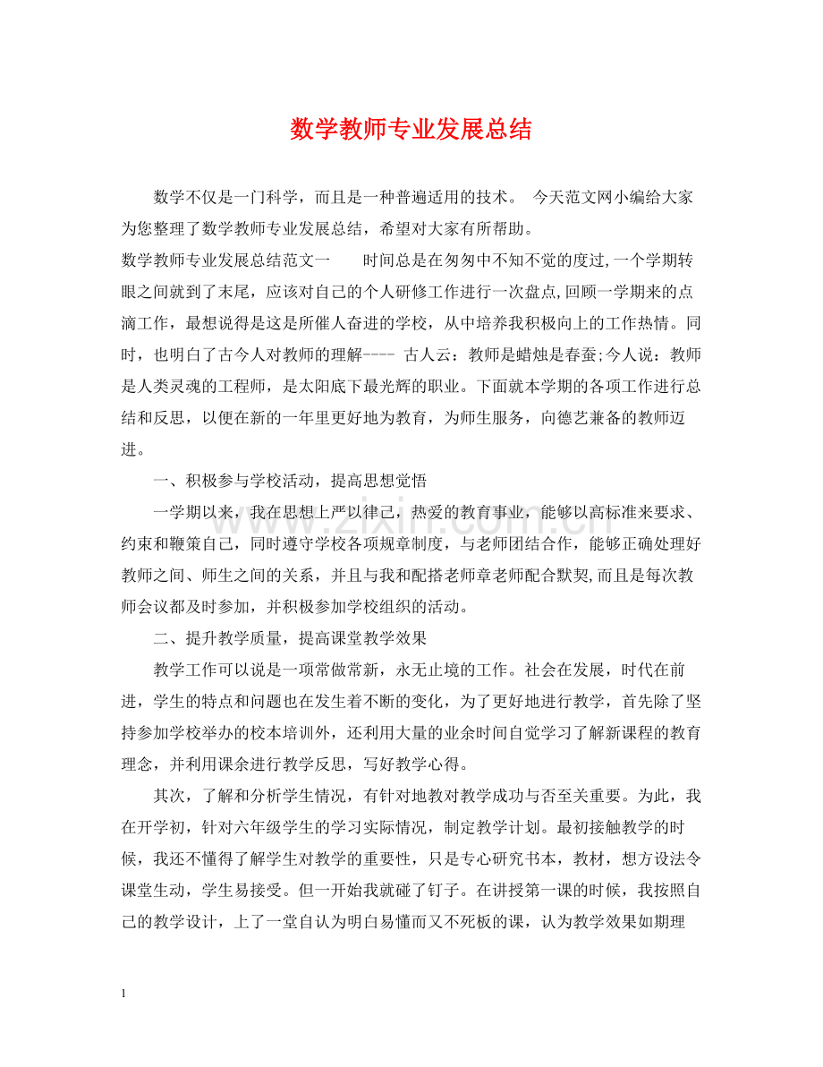 数学教师专业发展总结.docx_第1页