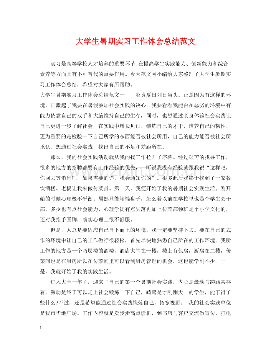 大学生暑期实习工作体会总结范文.docx_第1页