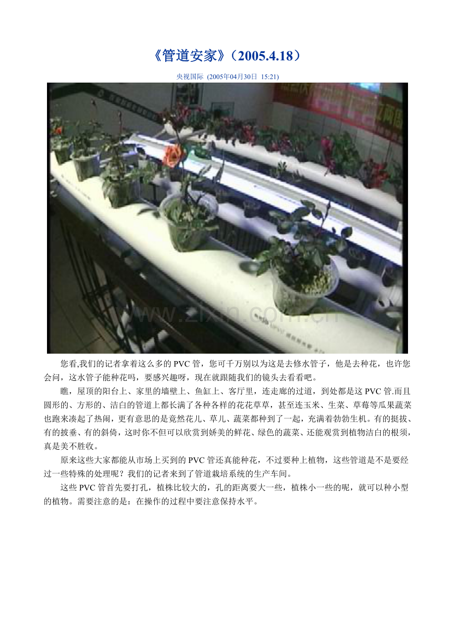科技苑、《管道安家》(2005.4.18)管道无土栽培.doc_第1页