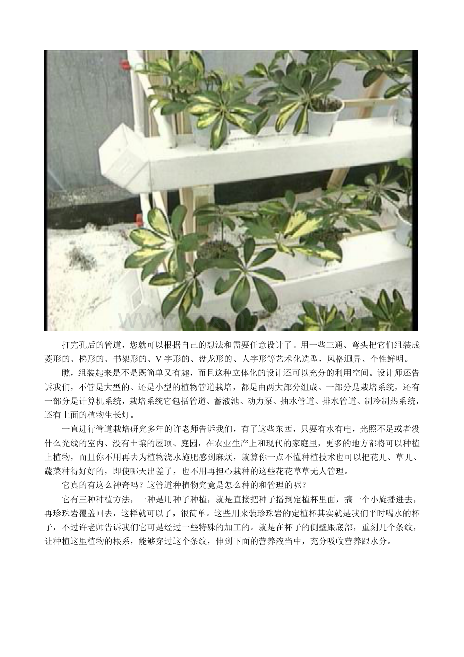 科技苑、《管道安家》(2005.4.18)管道无土栽培.doc_第2页