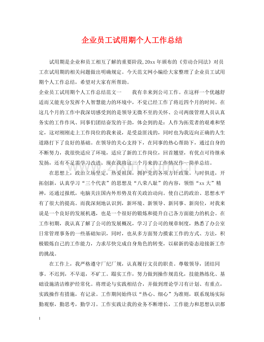 企业员工试用期个人工作总结.docx_第1页