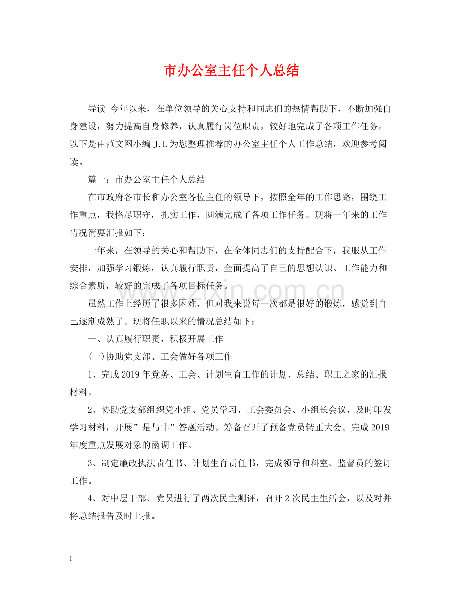 市办公室主任个人总结.docx_第1页