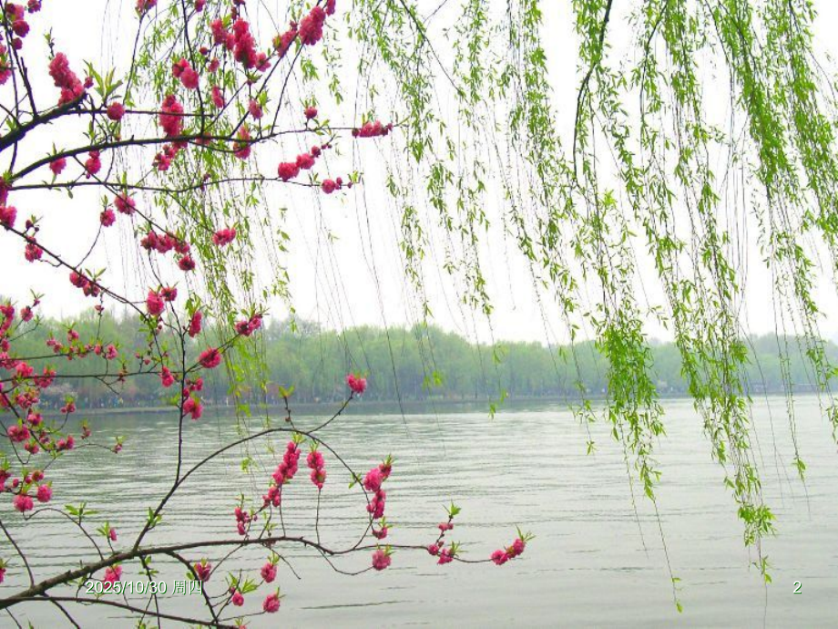 《伯牙绝弦》课件选用.ppt_第2页