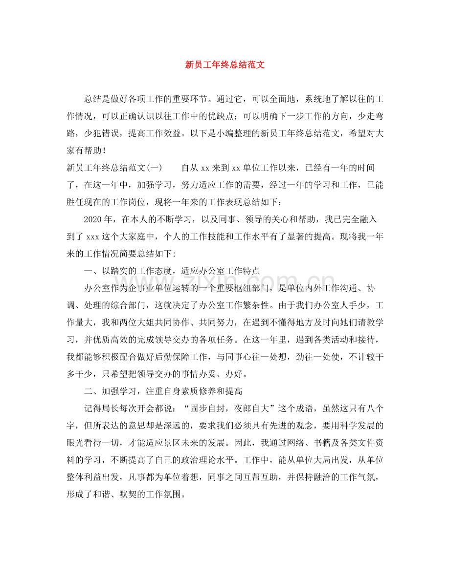 新员工年终总结范文.docx_第1页