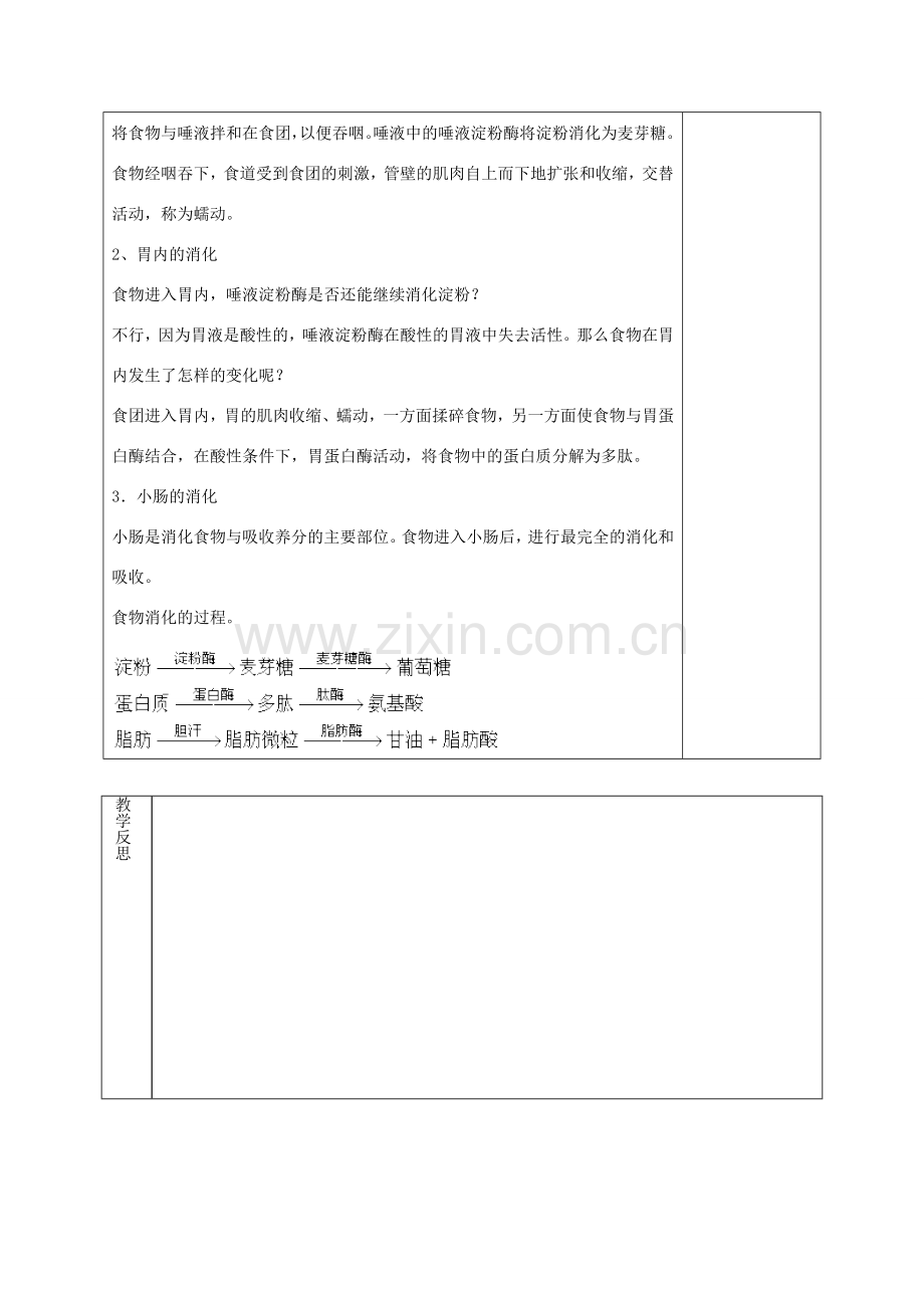 七年级生物下册 4.8.2 食物的消化和营养物质的吸收（第3课时）教案 （新版）北师大版-（新版）北师大版初中七年级下册生物教案.doc_第2页