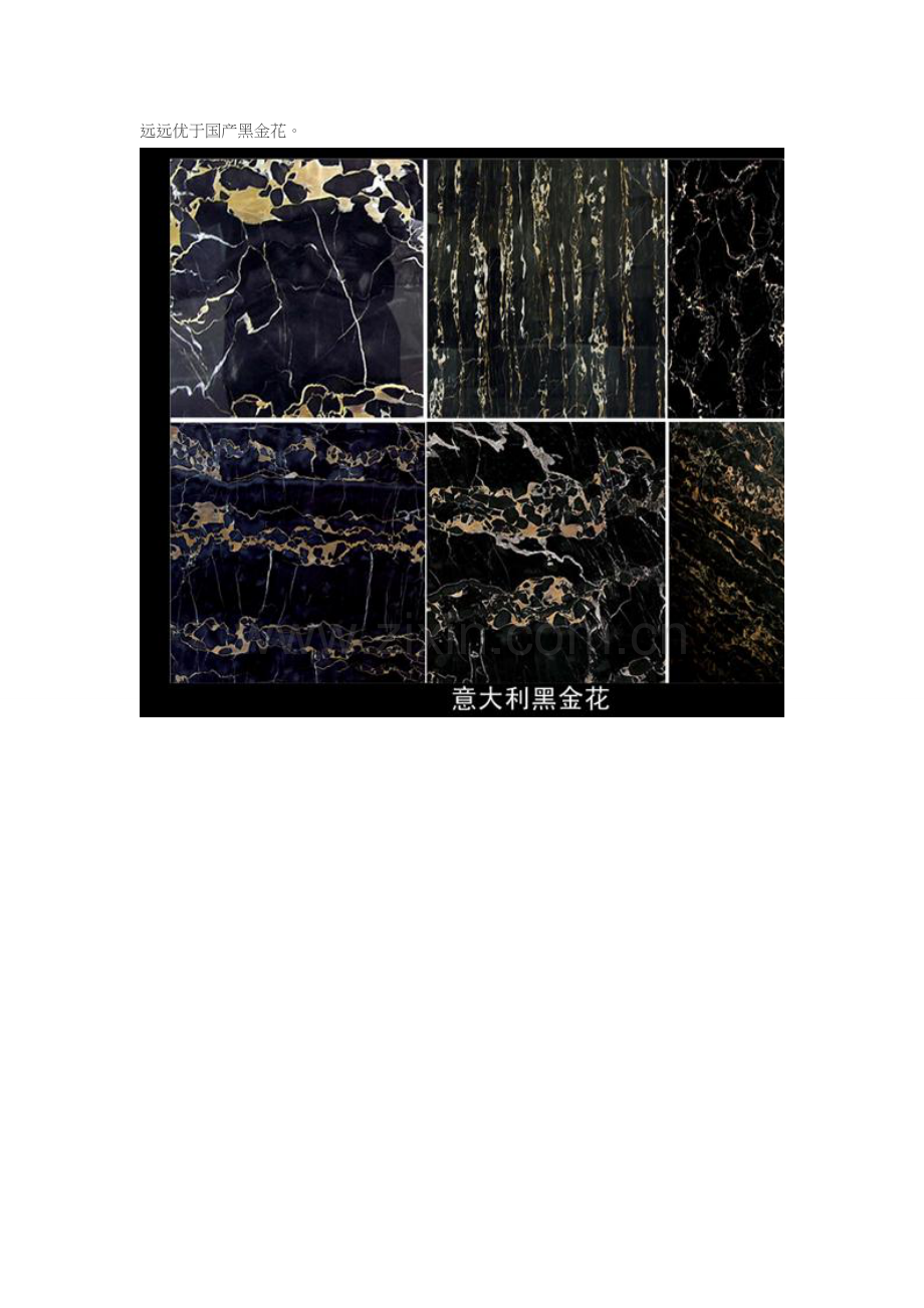 黑金花详解.doc_第2页