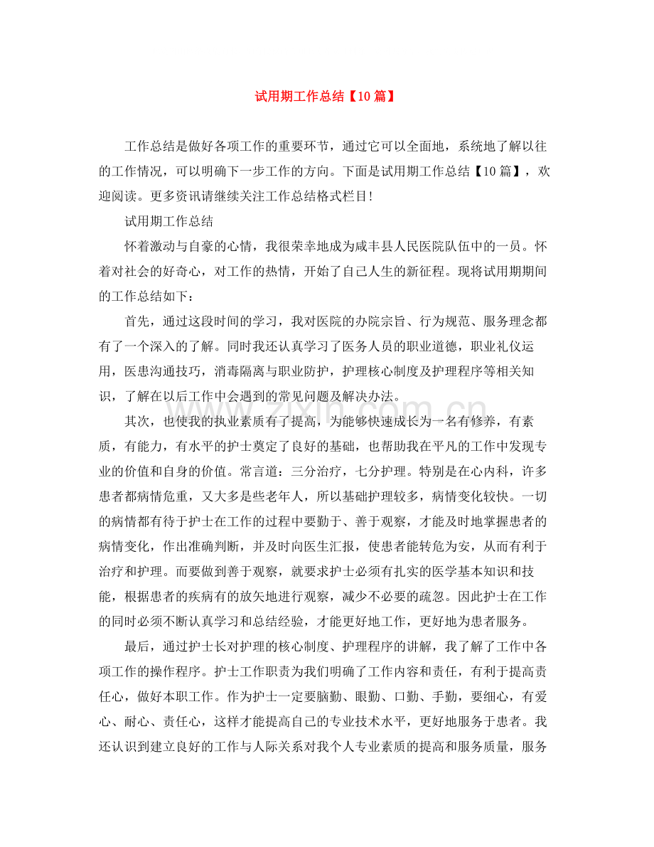 试用期工作总结【10篇】.docx_第1页