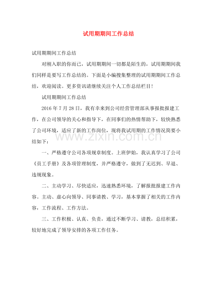试用期期间工作总结 .docx_第1页