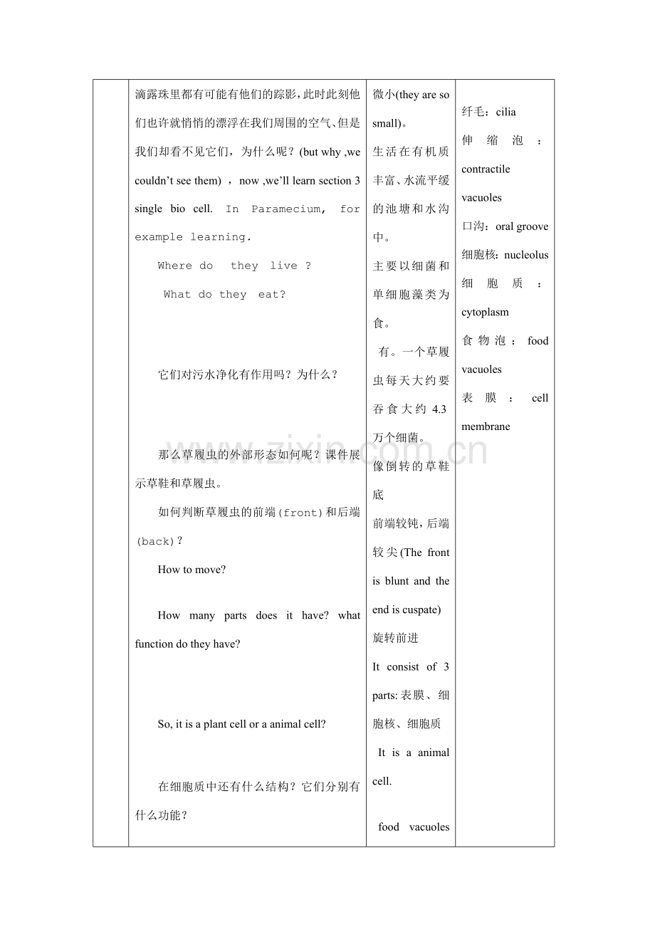 八年级生物第二单元第三节单细胞生物苏教版.doc_第2页