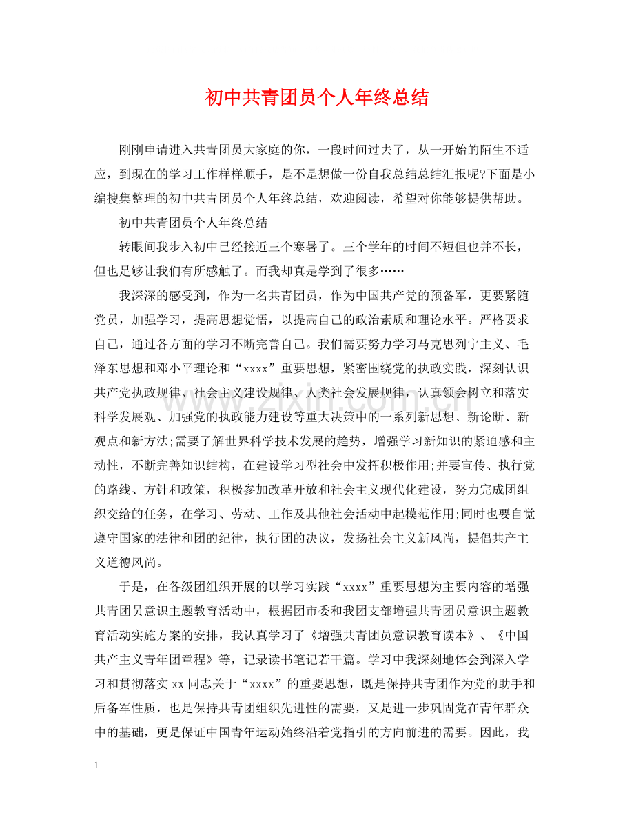 初中共青团员个人年终总结.docx_第1页