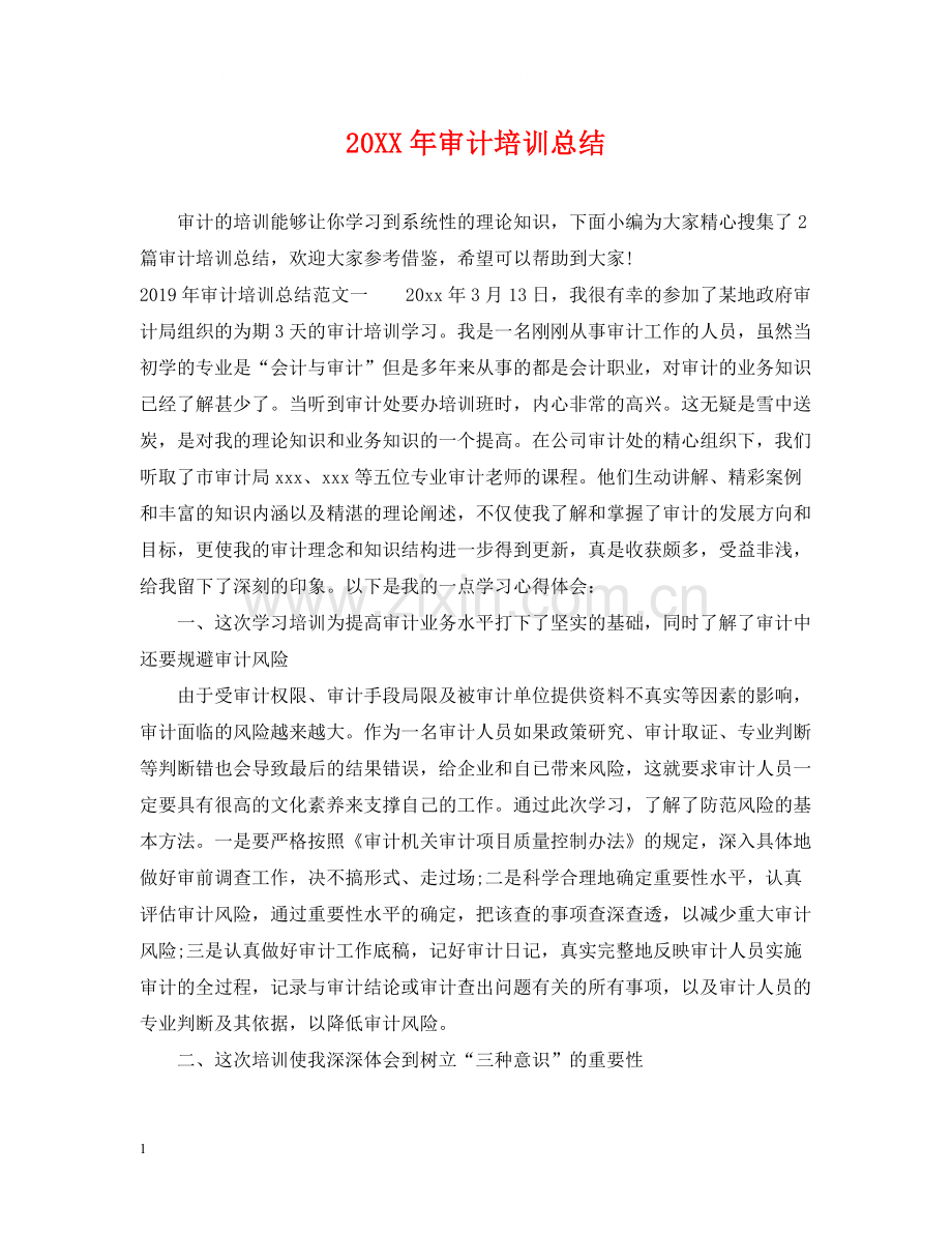 审计培训总结.docx_第1页
