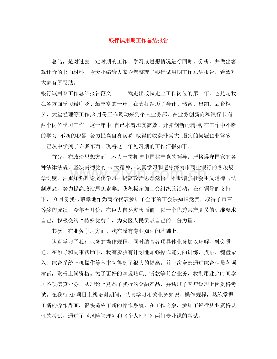 银行试用期工作总结报告.docx_第1页