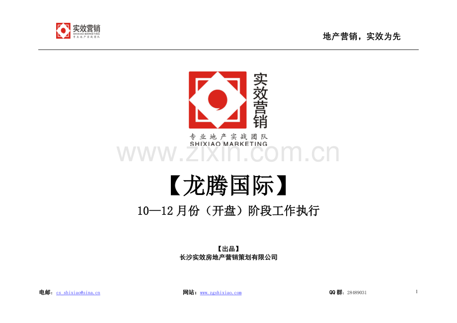 龙腾国际营销推广执行.doc_第1页