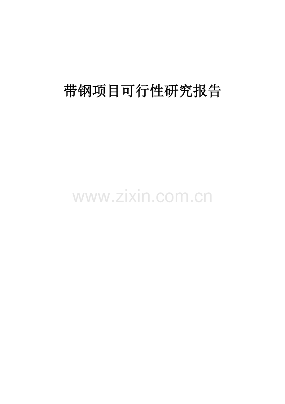 带钢项目可行性研究报告.docx_第1页
