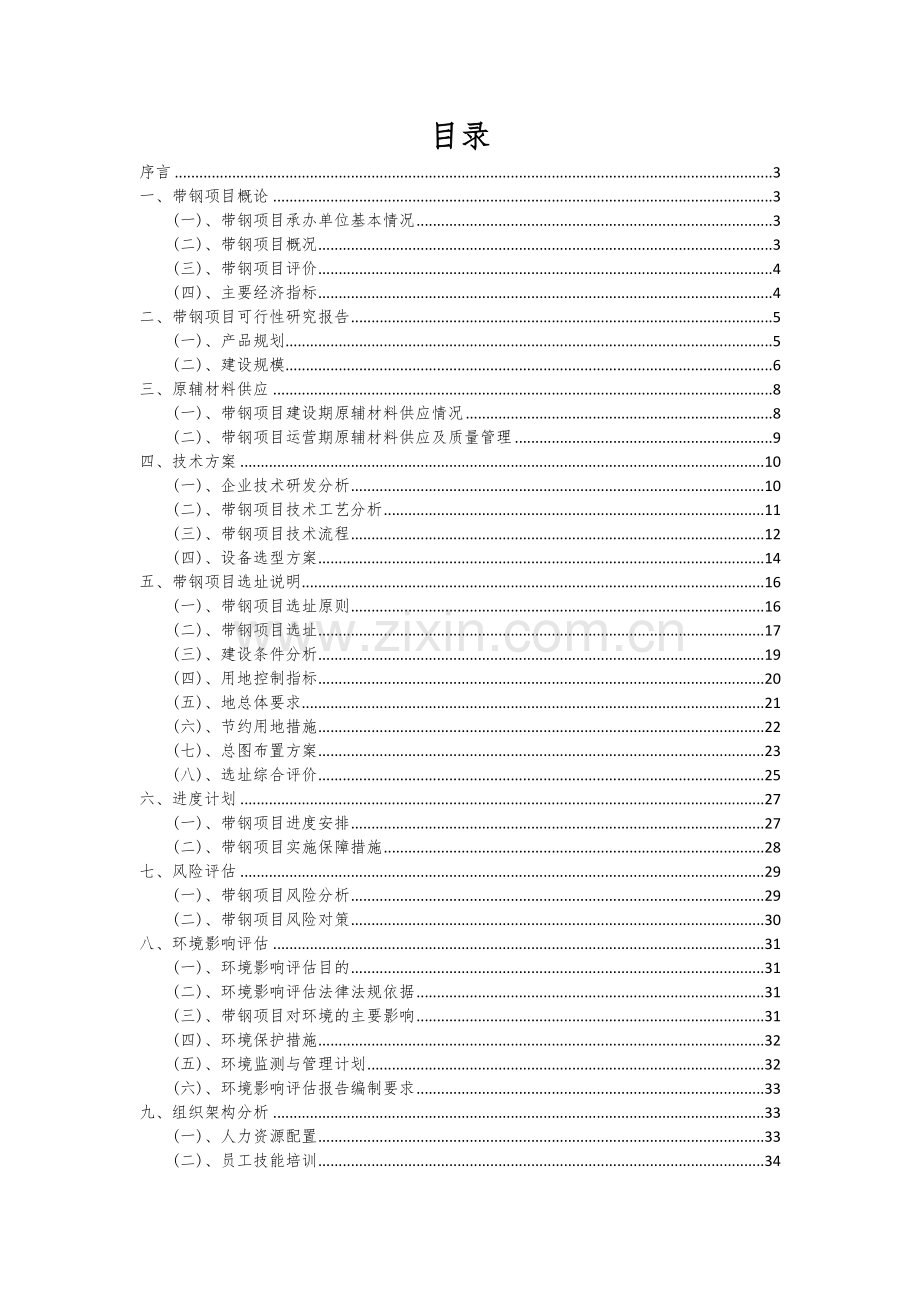 带钢项目可行性研究报告.docx_第2页