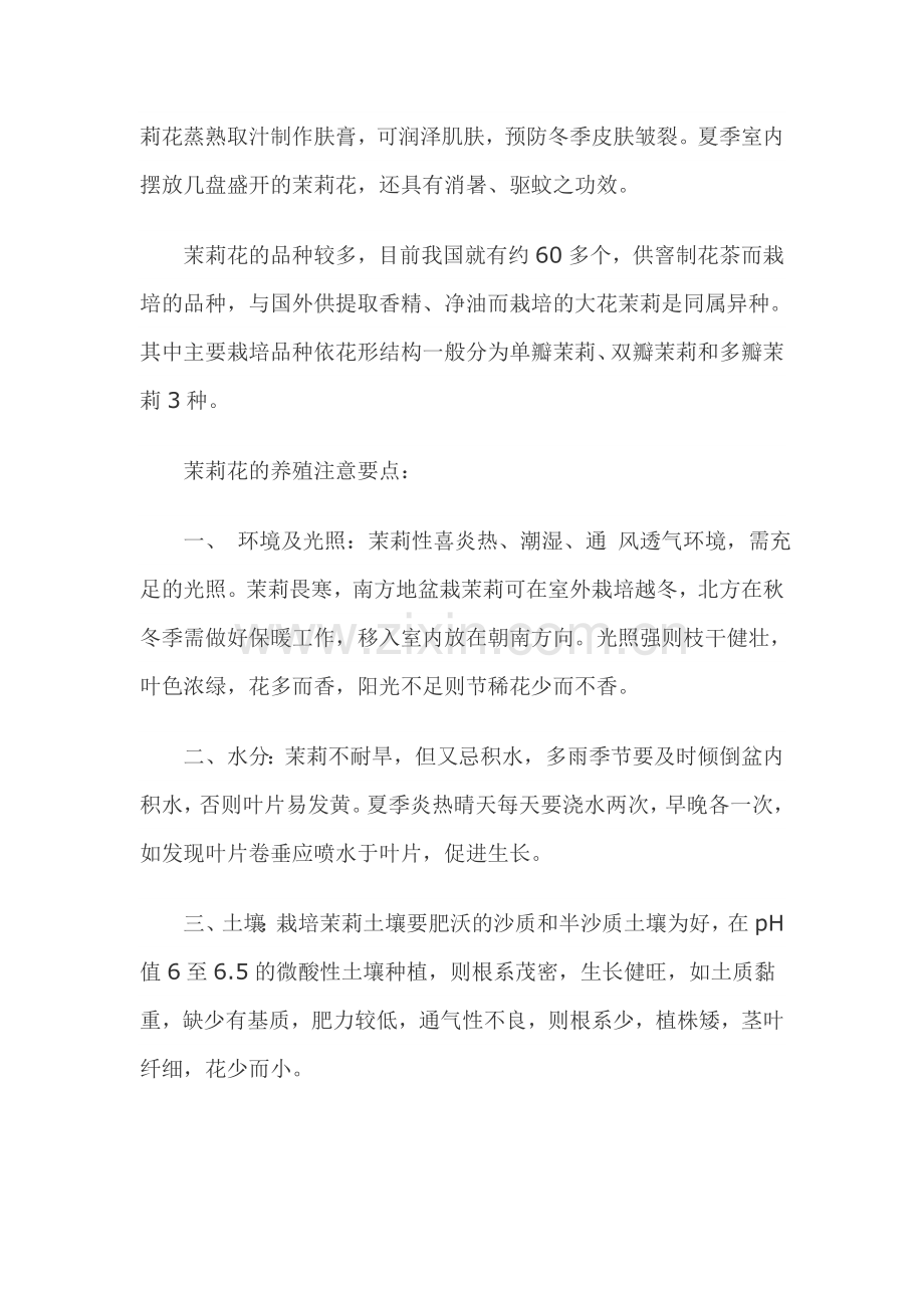 茉莉花养殖.doc_第2页