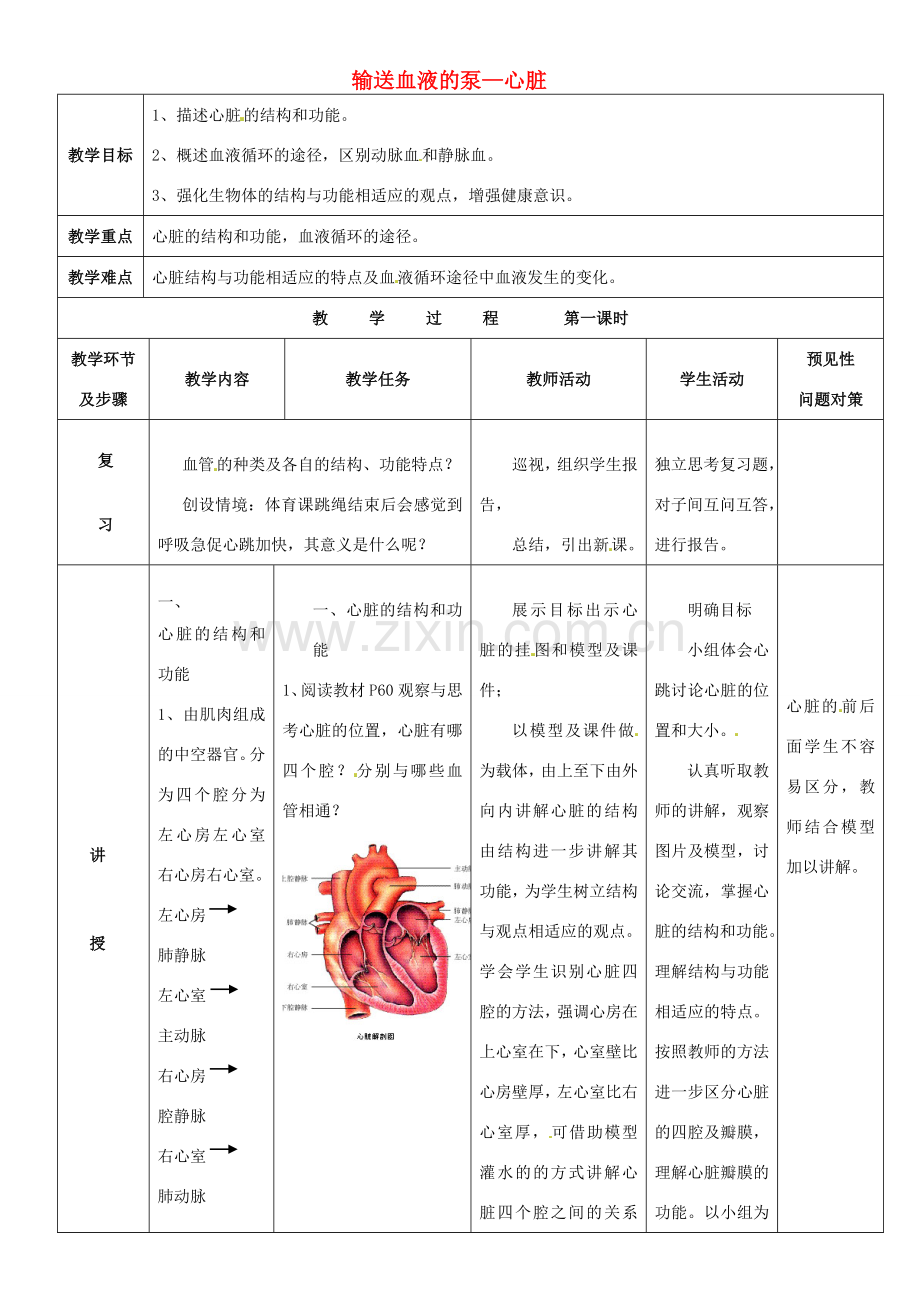七年级生物下册 第四单元 第四章 第三节 输送血液的泵—心脏教案 新人教版-新人教版初中七年级下册生物教案.doc_第1页