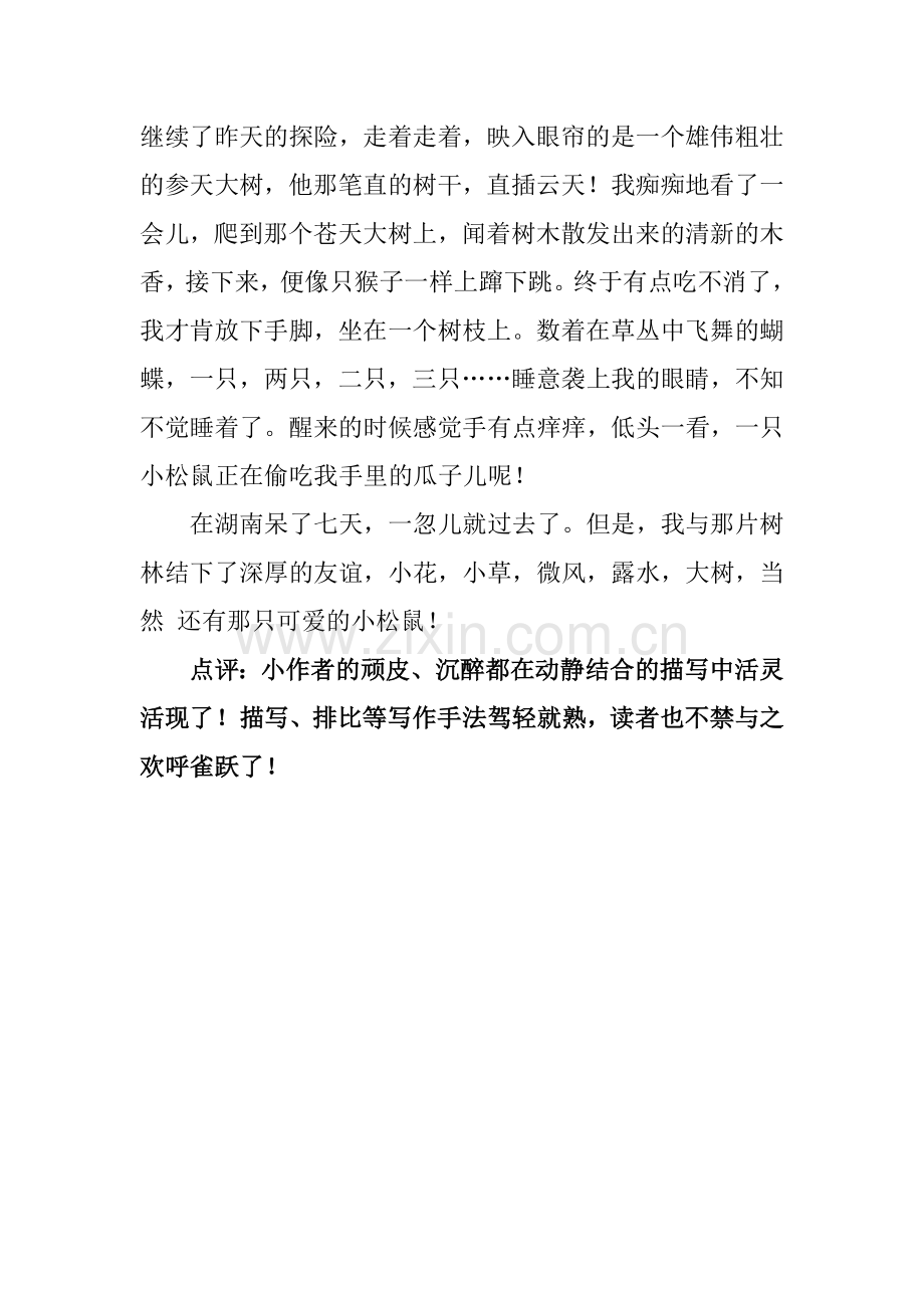 园岭外国语黄振豪与自然为友.doc_第2页