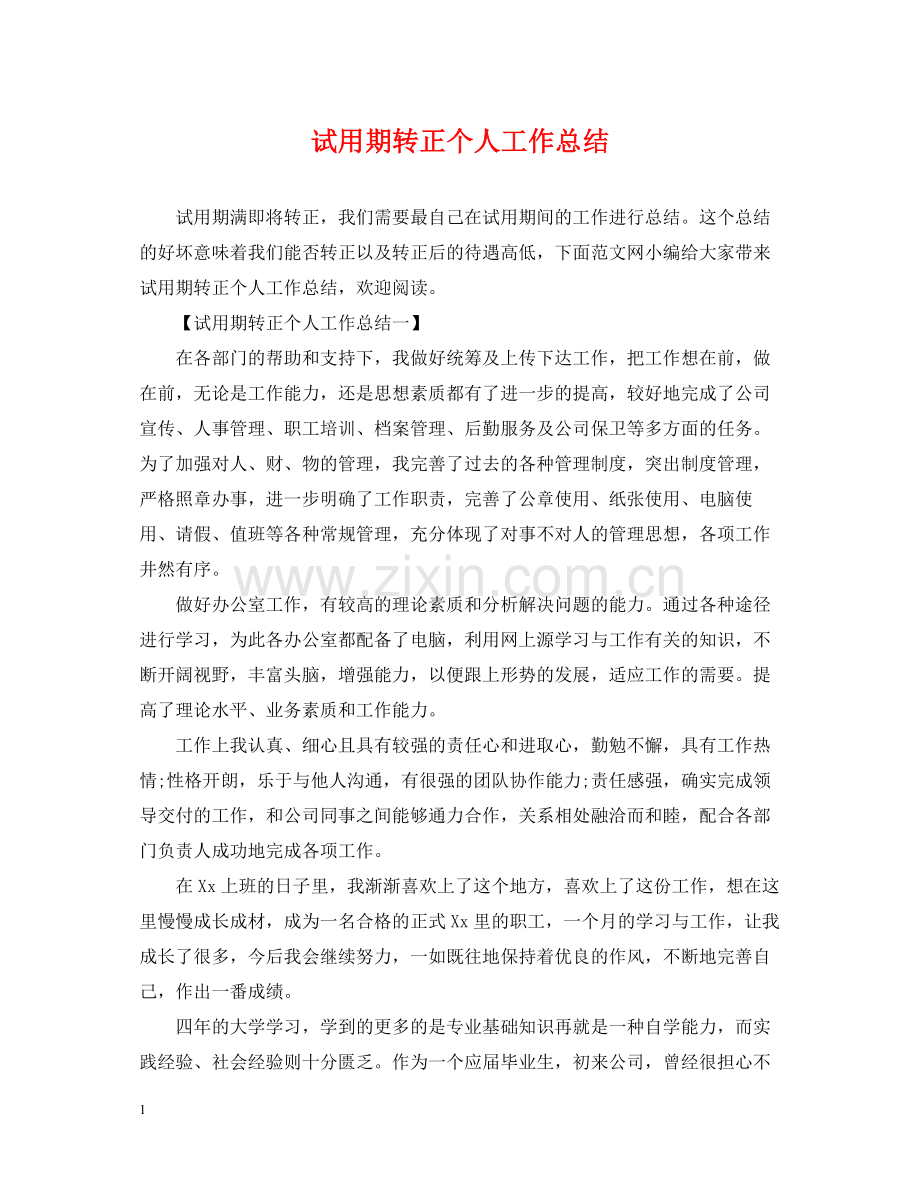 试用期转正个人工作总结2.docx_第1页