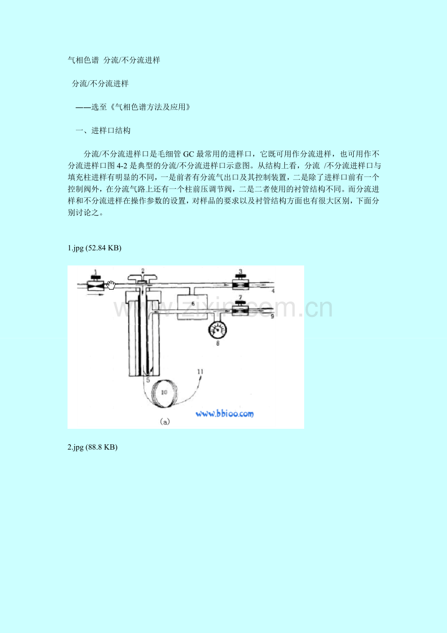 分流不分流进样.doc_第1页