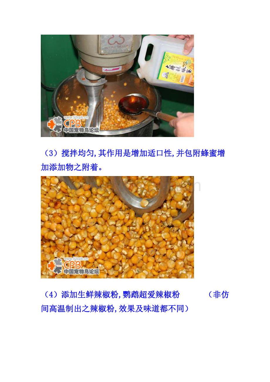 鹦鹉食物制作.doc_第2页