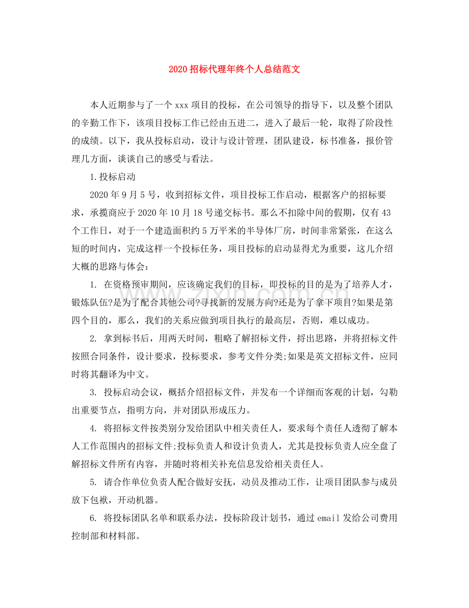 招标代理年终个人总结范文.docx_第1页