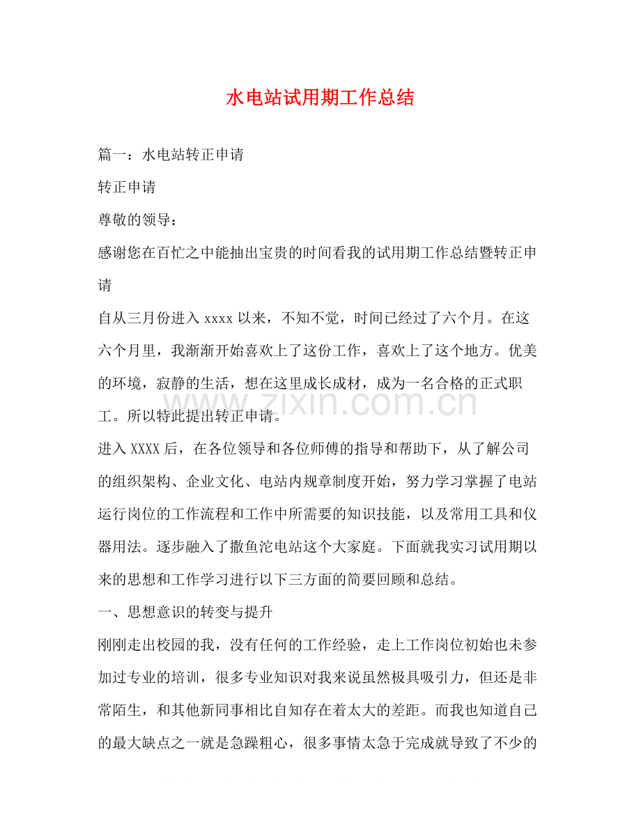 水电站试用期工作总结.docx_第1页