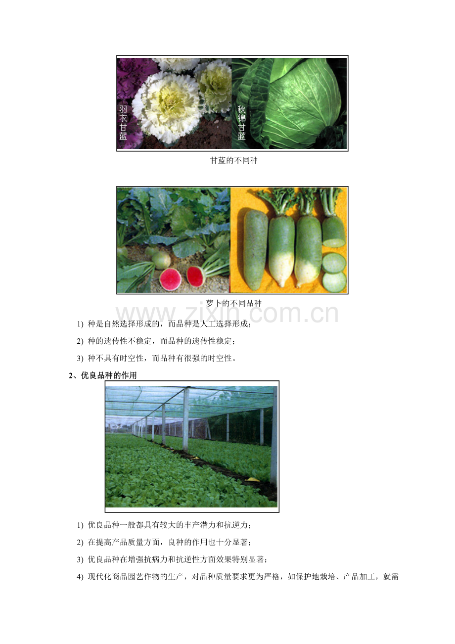 第五章园艺植物品质改良.docx_第2页