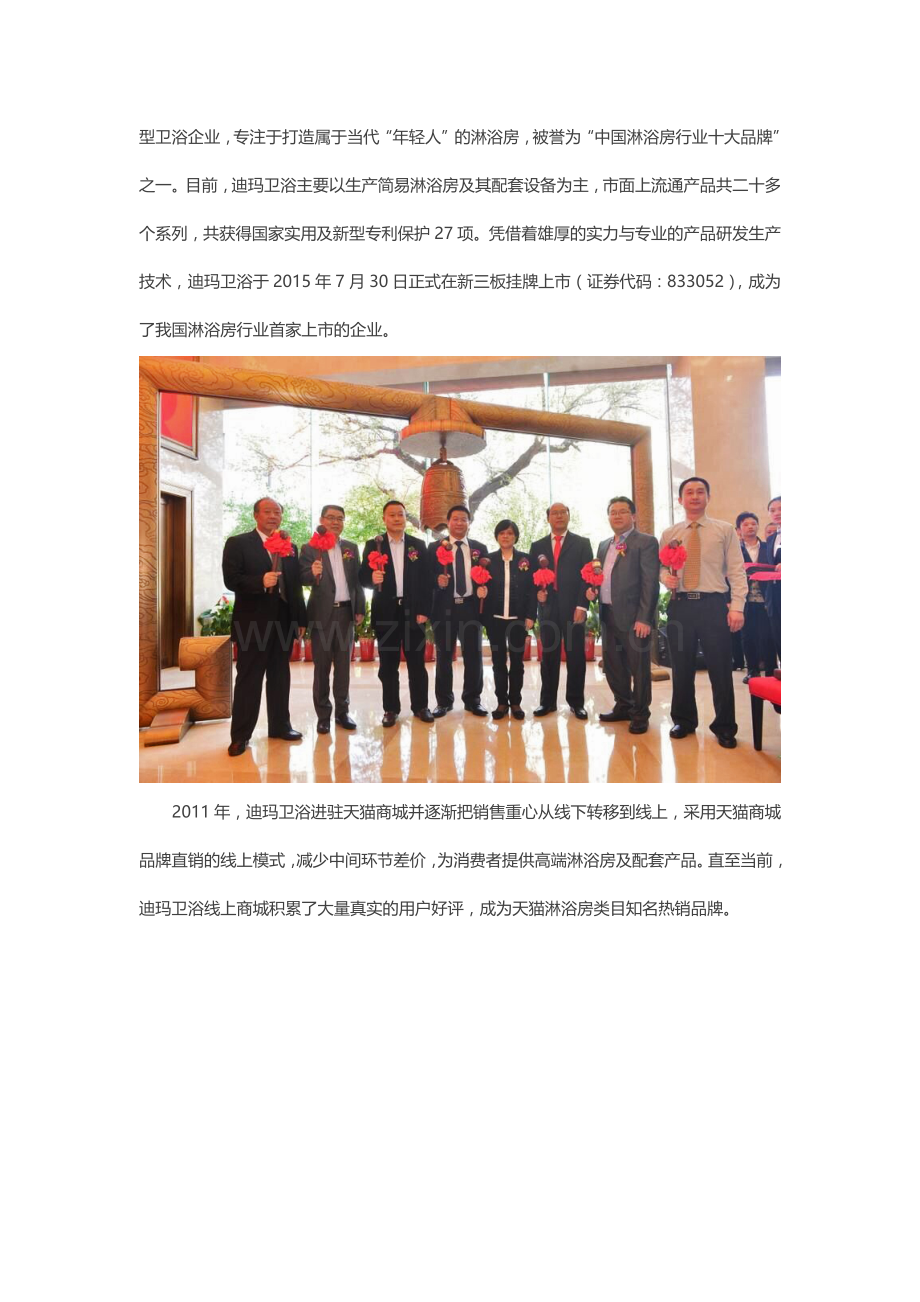 品牌百科范文：迪玛卫浴.docx_第2页