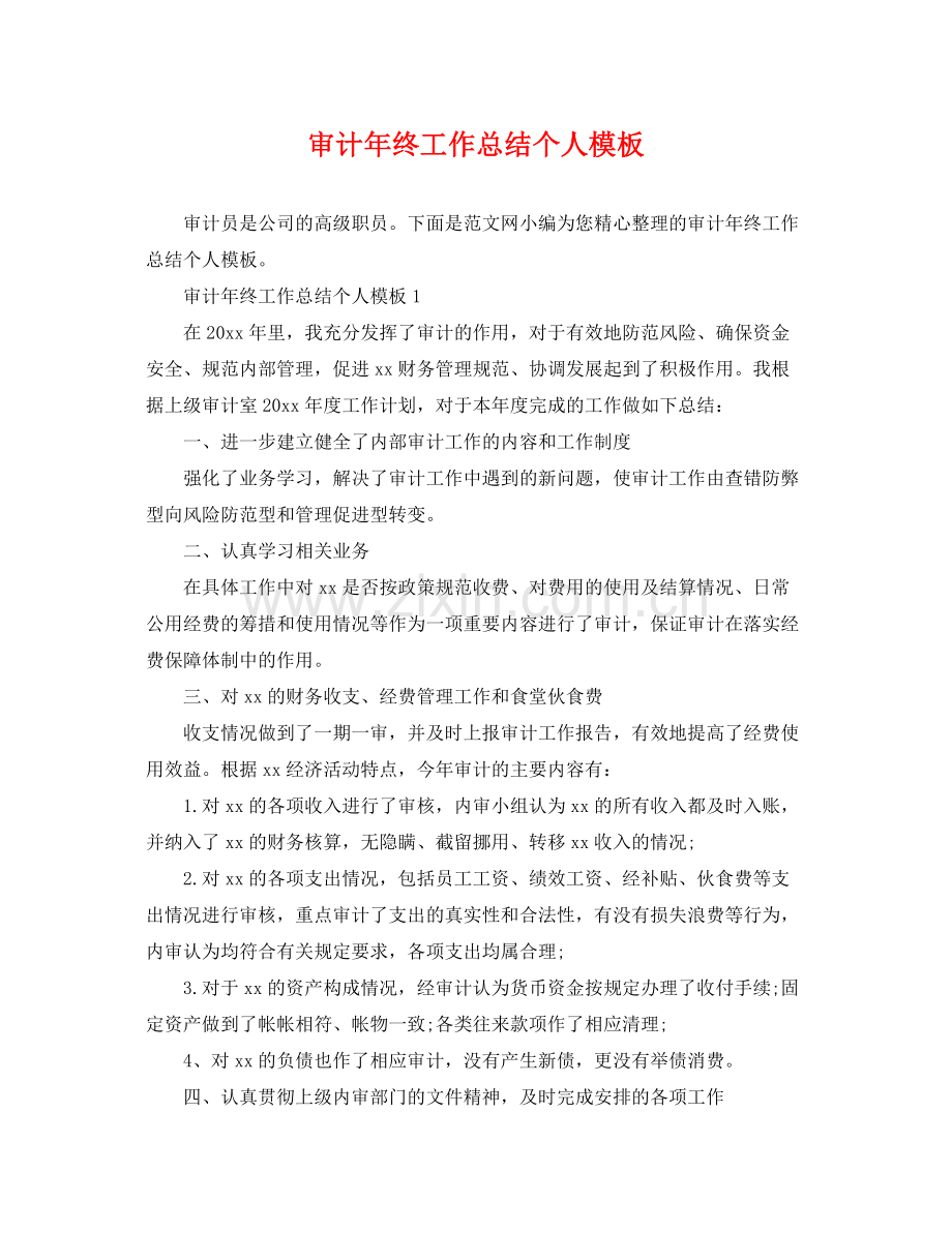 审计年终工作总结个人模板 .docx_第1页